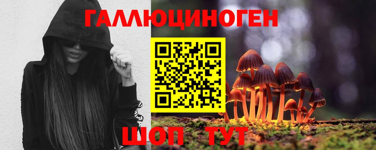 Псилоцибиновые грибы Psilocybe Тобольск