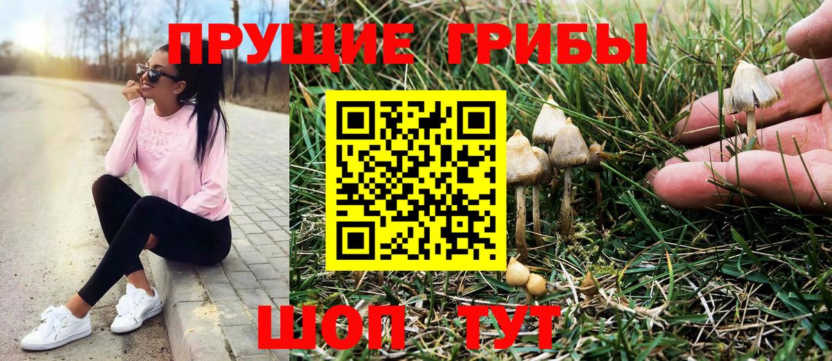 Галлюциногенные грибы GOLDEN TEACHER  Вход с VPN  дарнет шоп  Тобольск 